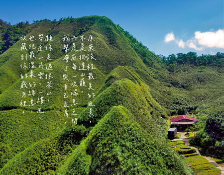臺灣明信片／宜蘭抹茶山與聖母山莊小屋／任選買10送1