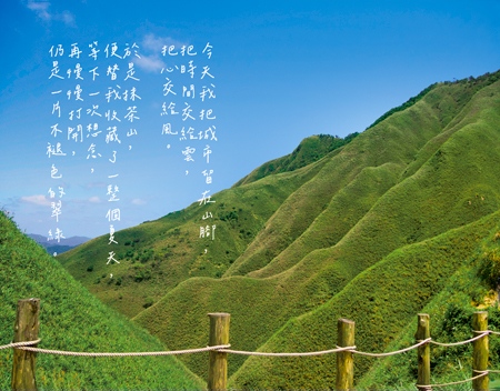 臺灣明信片／宜蘭抹茶山替我收藏了一整個夏天／任選買10送1