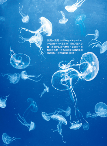 臺灣離島明信片／澎湖水族館水母／任選買10送1